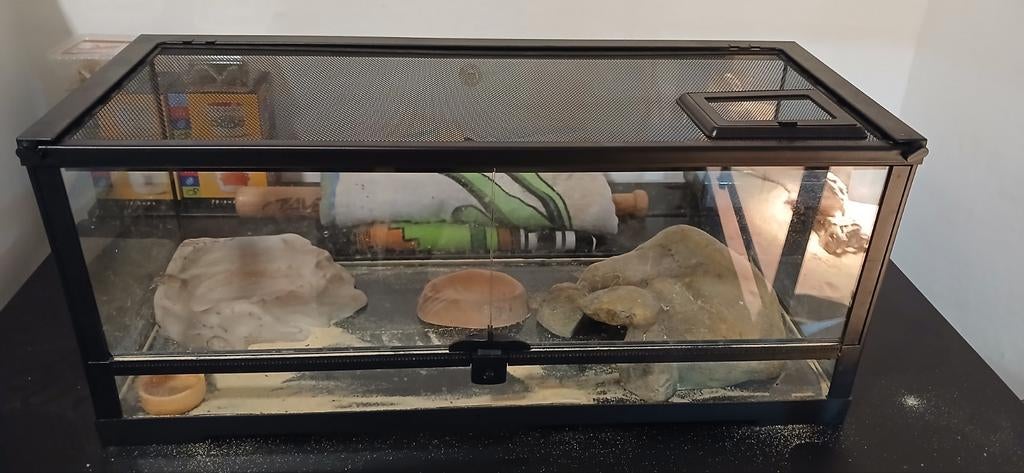 Terrarium 70x30x30 met bijbehorende decoratie, Dieren en Toebehoren, Ophalen