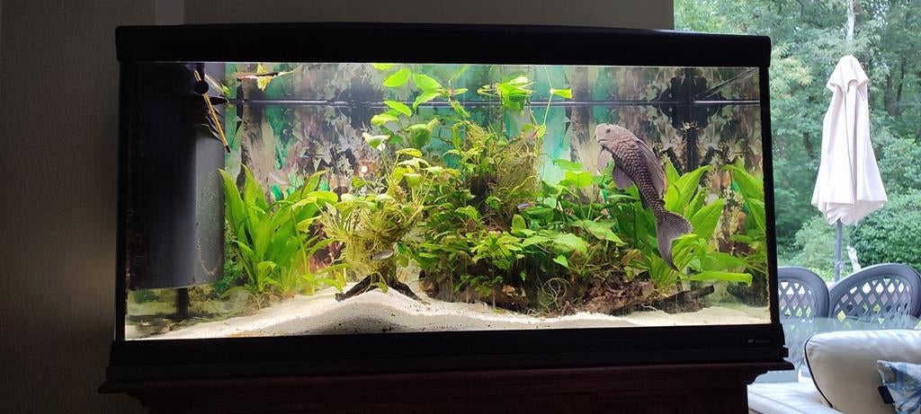 Cayman aquarium 240 liter, Dieren en Toebehoren, Ophalen, Verwarming, Gebruikt