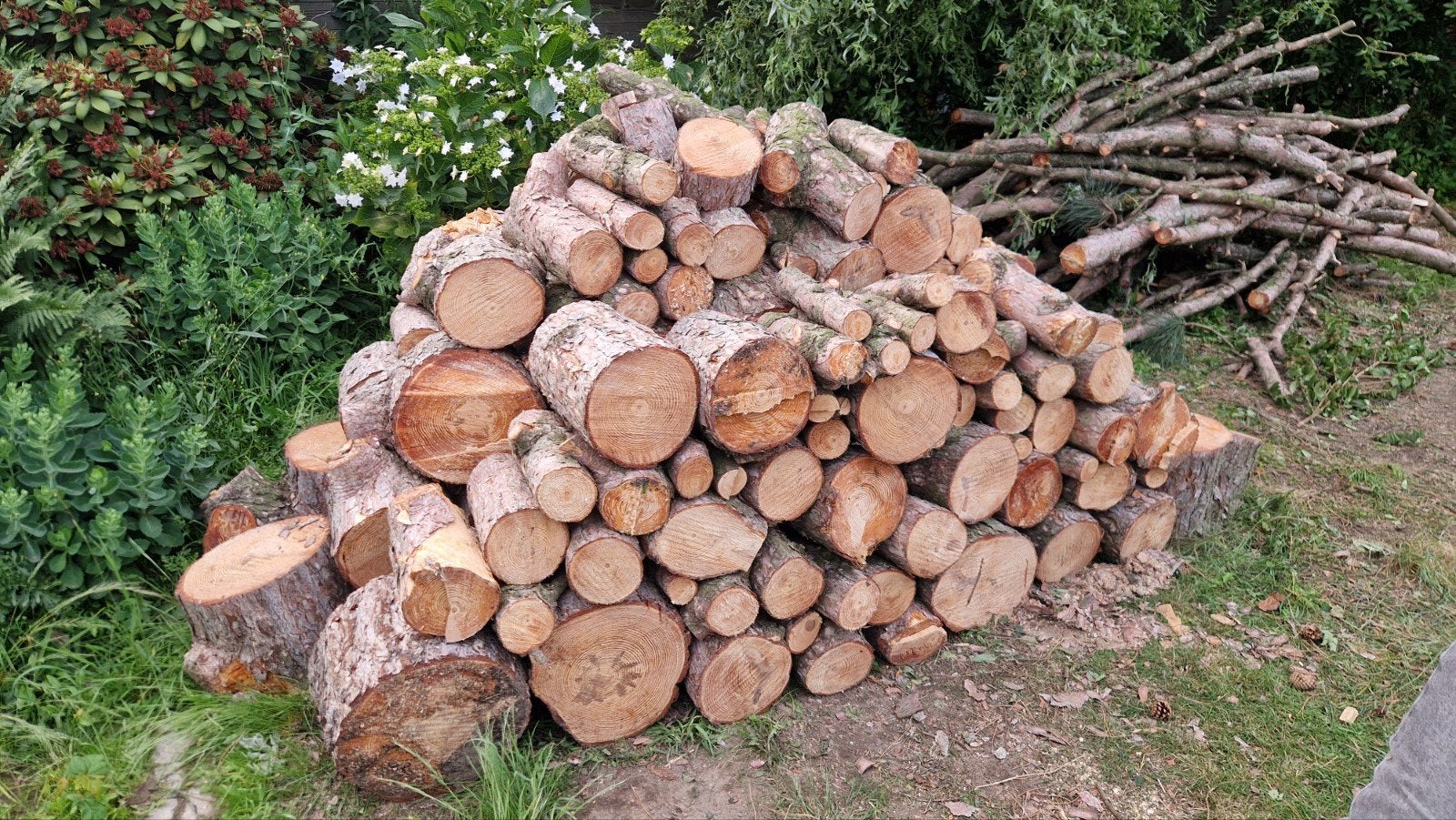 Gratis brandhout, Enlèvement