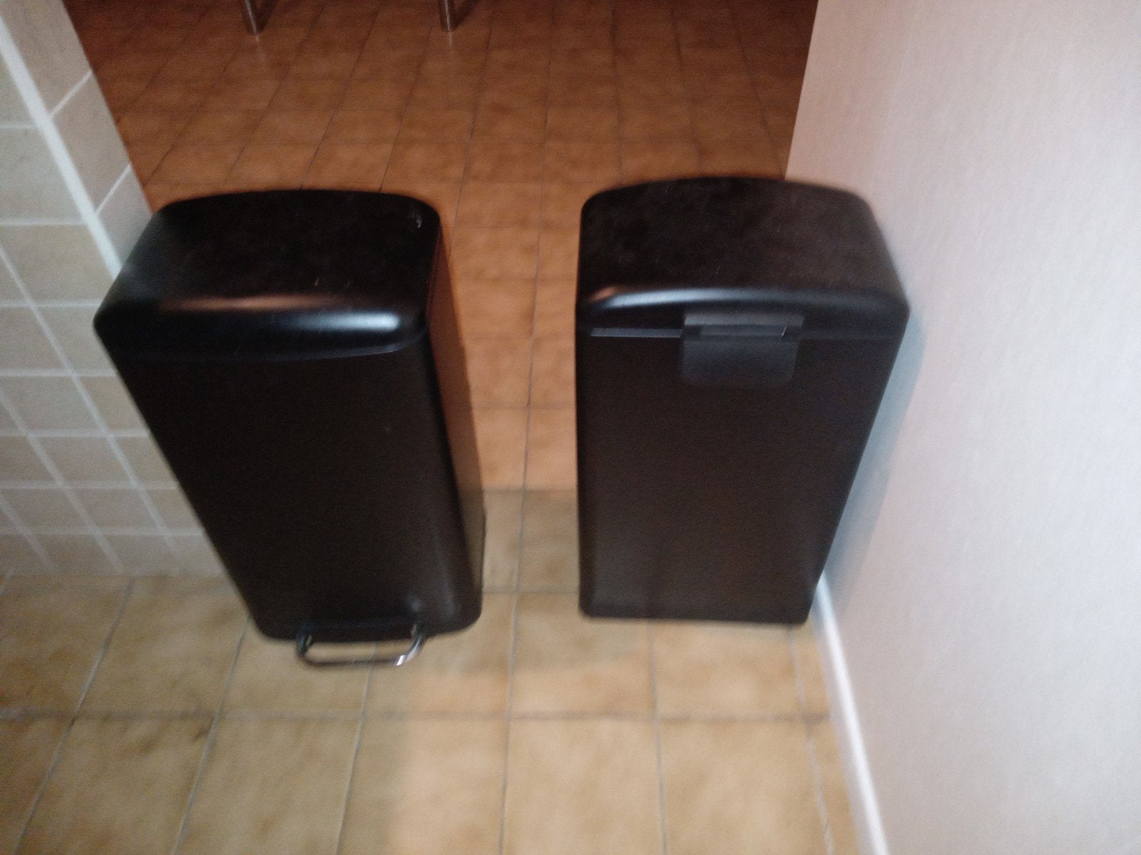 Lots 2 poubelles, Enlèvement