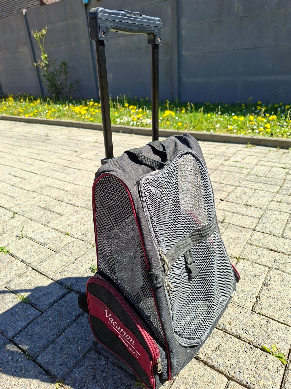 Draagrugzak voor kat of kleine hond, Ophalen, 30 cm of meer, Gebruikt, Zwart