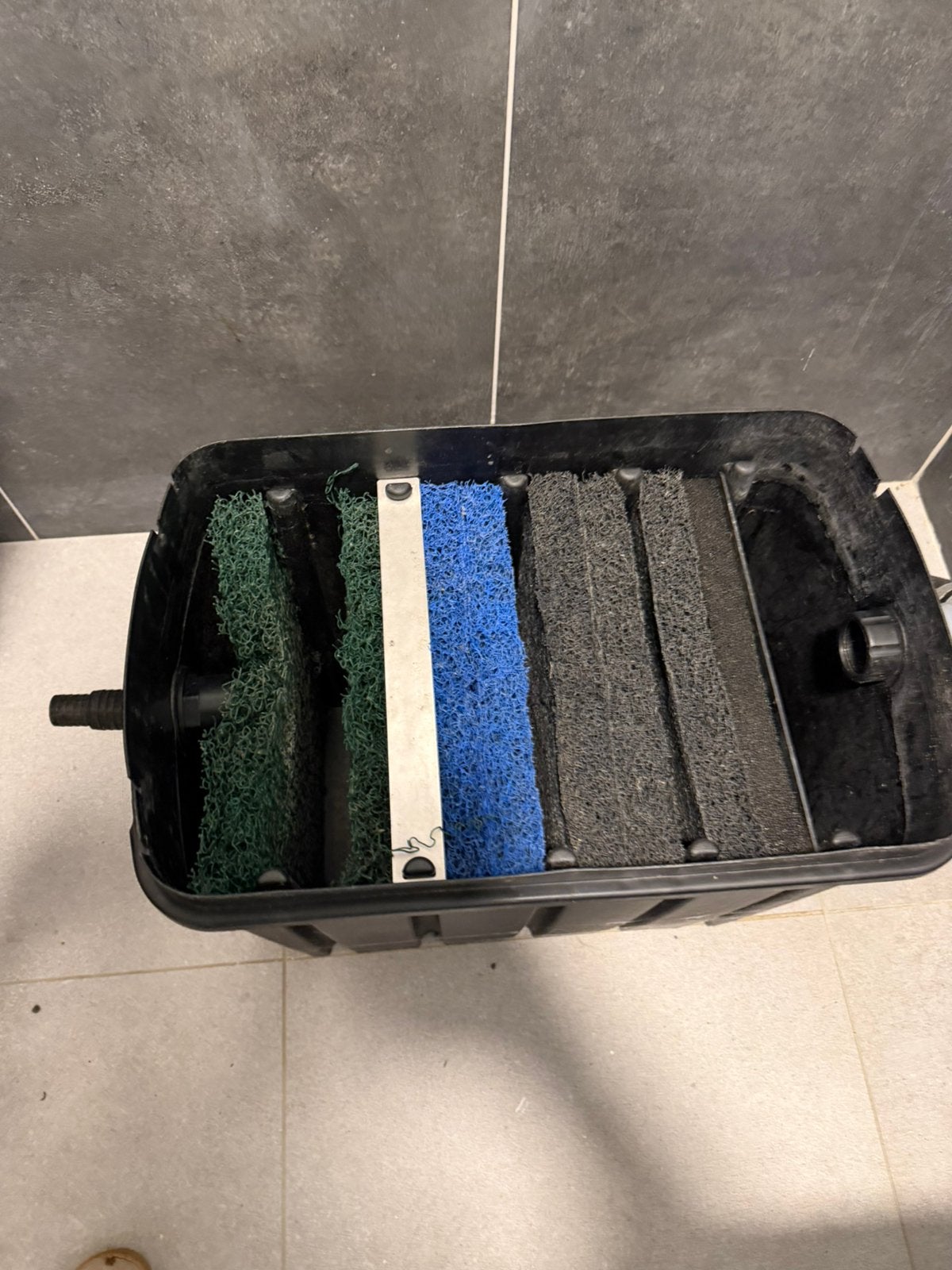 Bac de filtration pour bassin complet avec masses filtrantes, Poisson(s) rouge(s)