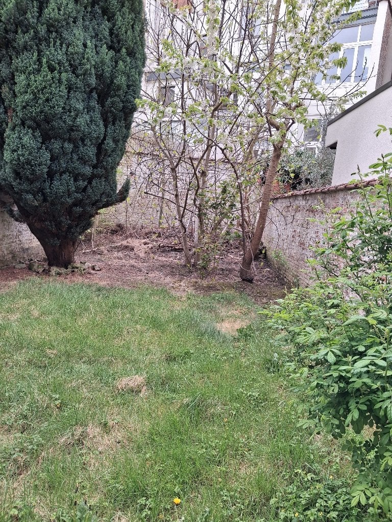immeuble mixte à vendre, Bruxelles, Habitation avec espace professionnel, 250 m², Jusqu'à 200 m²