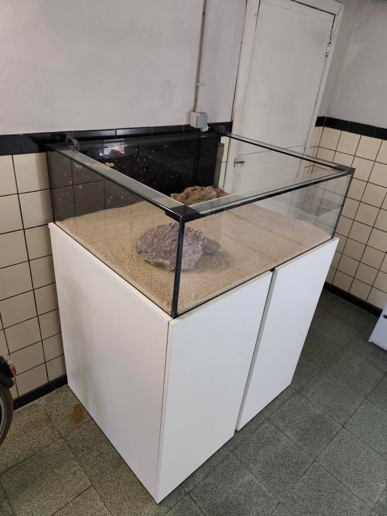 Zeeaquarium stekkebak shallowtank, Dieren en Toebehoren, Vissen | Aquaria en Toebehoren, Ophalen of Verzenden