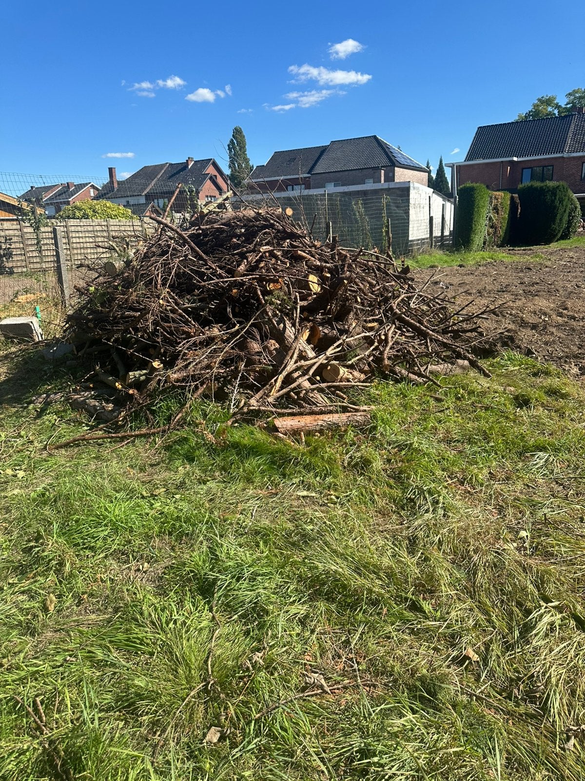 bois de chauffage, Enlèvement