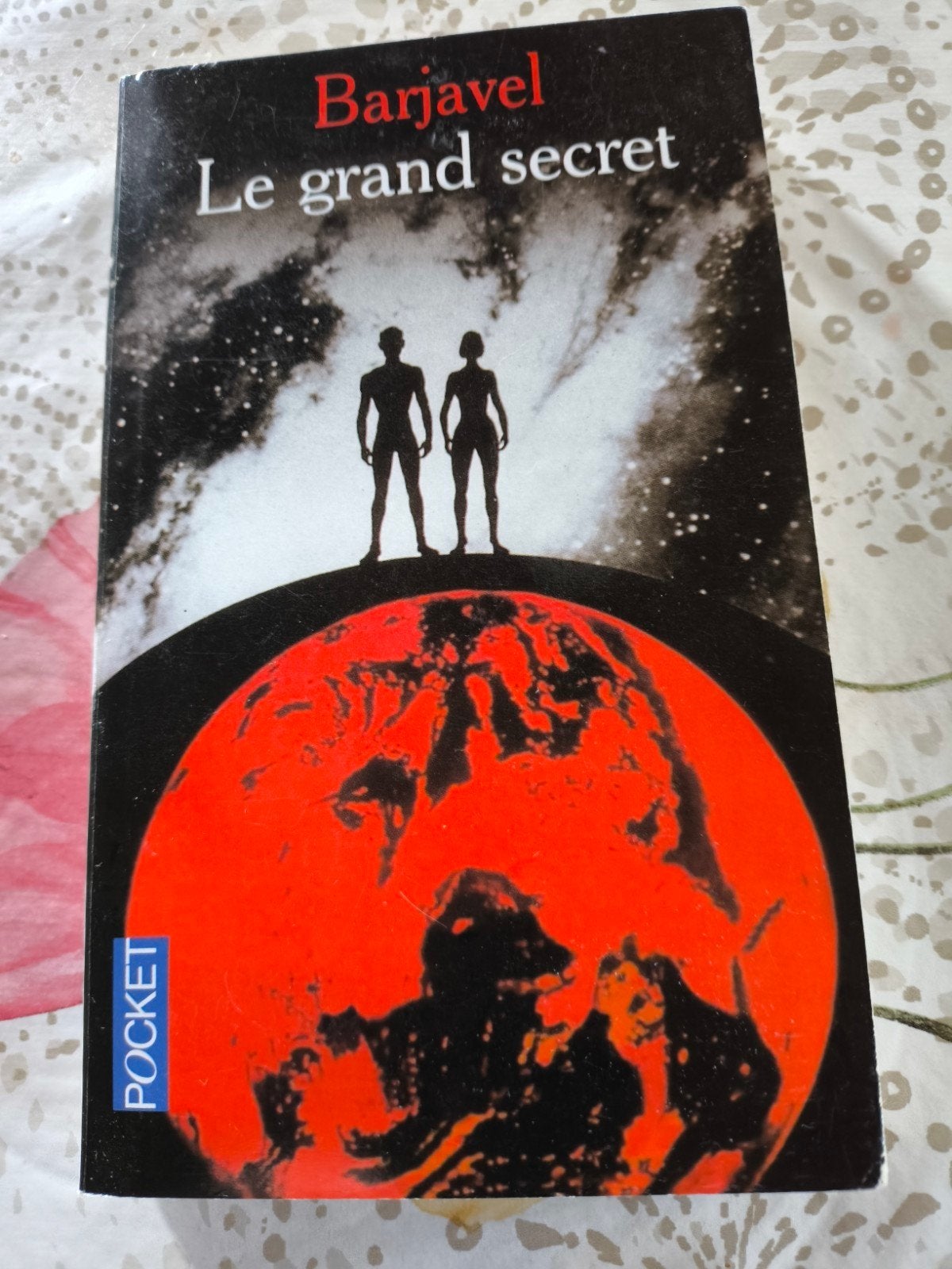 Le grand secret, Boeken, Ophalen of Verzenden, Zo goed als nieuw