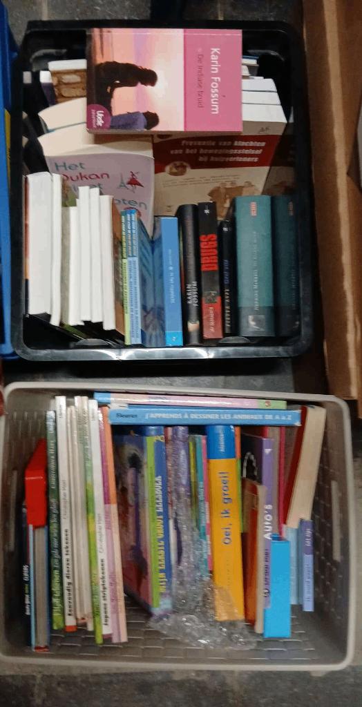 Groot pakket boeken fictie en non-fictie, Ophalen, Gelezen