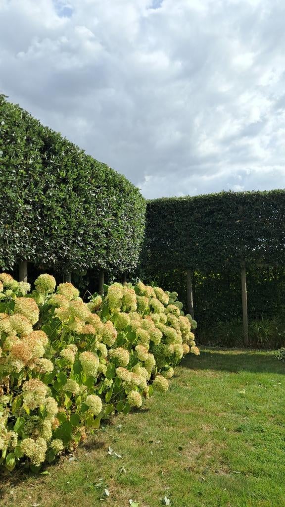 tuin onderhoud, Ophalen