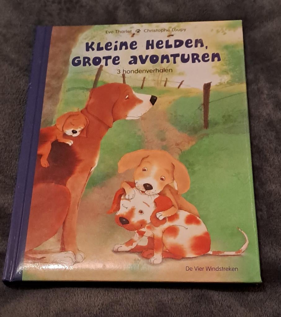 Kleine helden, grote avonturen
( 3 hondenverhalen), Ophalen of Verzenden, Zo goed als nieuw, Fictie algemeen