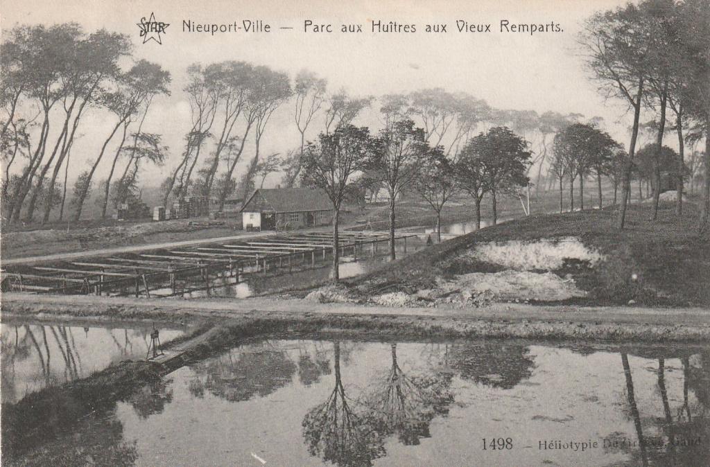 Nieuwpoort-Nieuport, Collections, Cartes postales | Belgique, Envoi