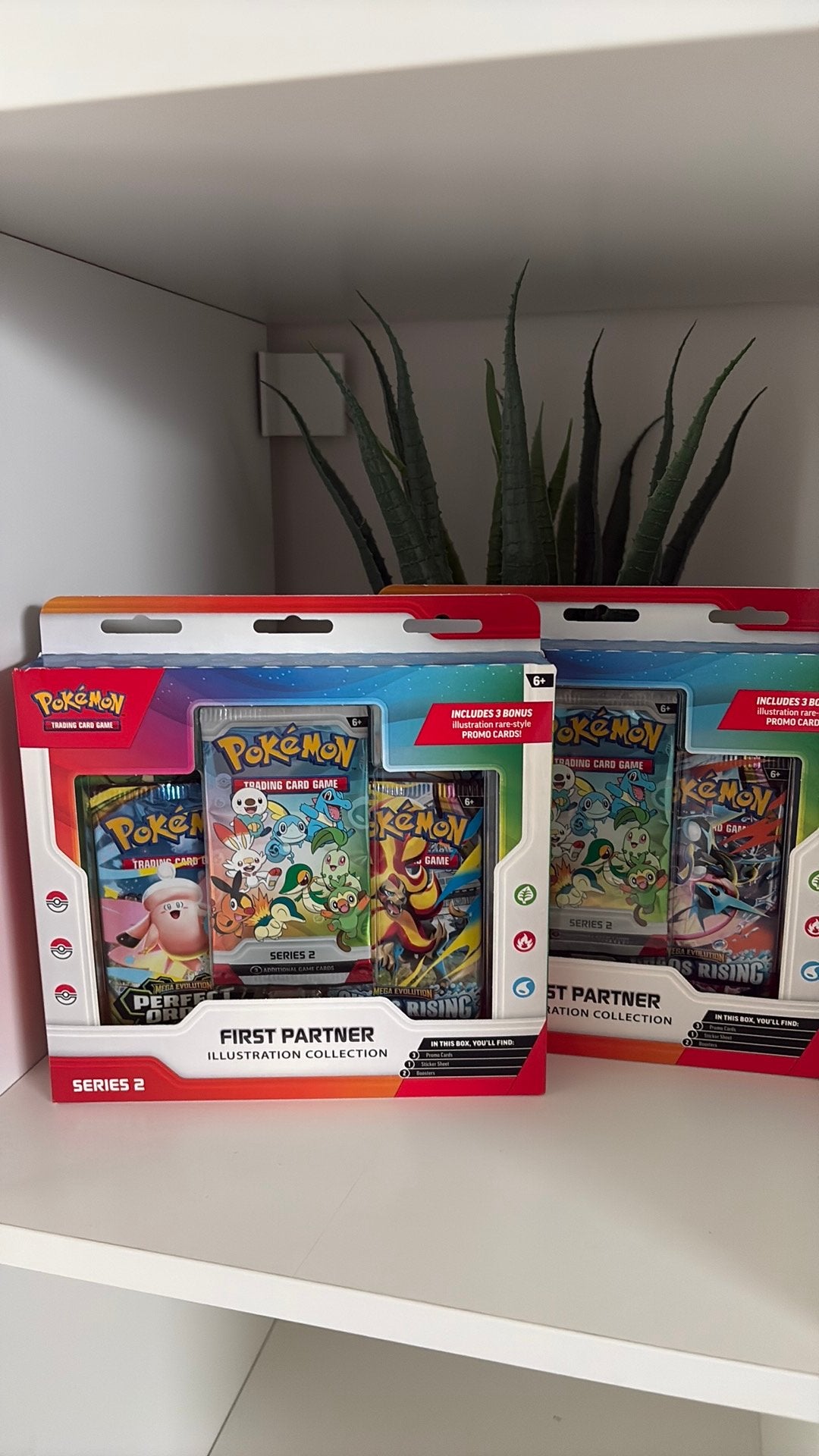 Pokemon first partner series, Enlèvement, Neuf