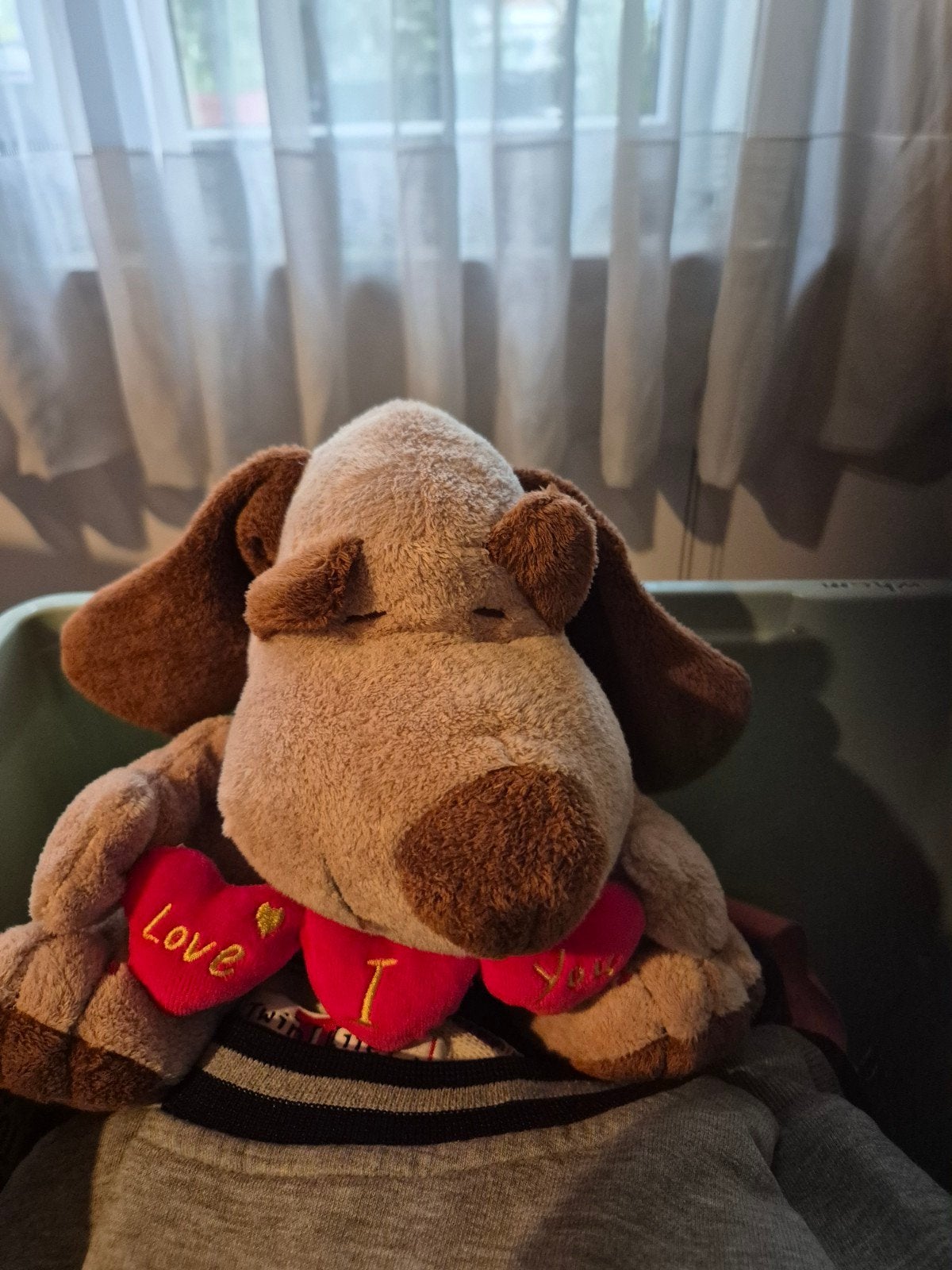 pluche hond nieuw, Ophalen