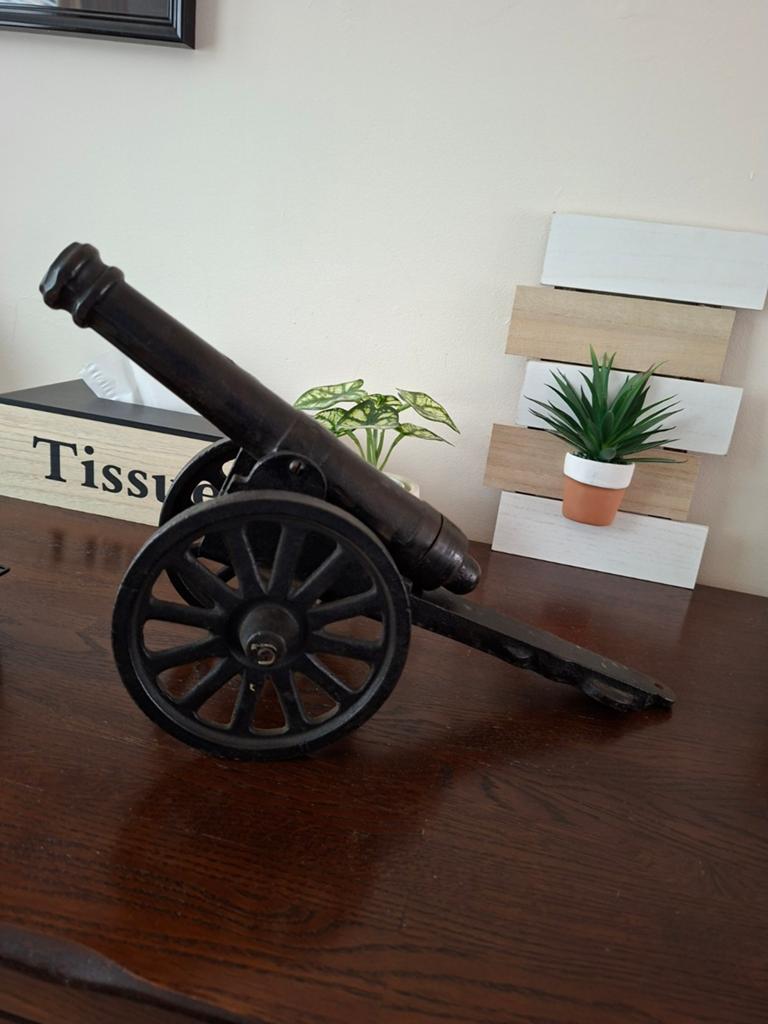 Te koop kanonnetje, Enlèvement