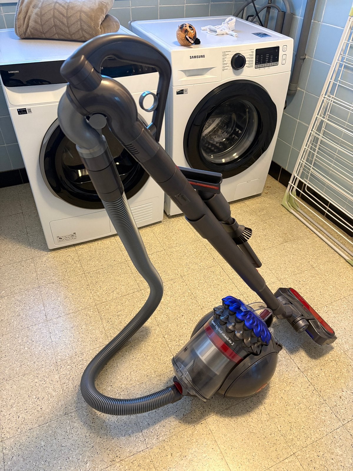 Dyson Big Ball Absolute 2, Elektronische apparatuur, Ophalen, Geschikt voor harde vloeren, Zo goed als nieuw, Dyson
