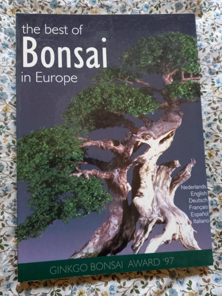 Fotoboek, Ophalen of Verzenden, Zo goed als nieuw, Geschikt voor kinderen, René Rooswinkel