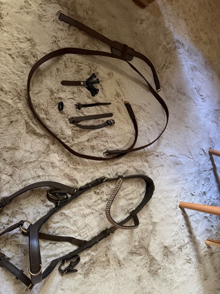 Micklem multi bridle full, Ophalen, Hoofdstel, Springen, Bruin