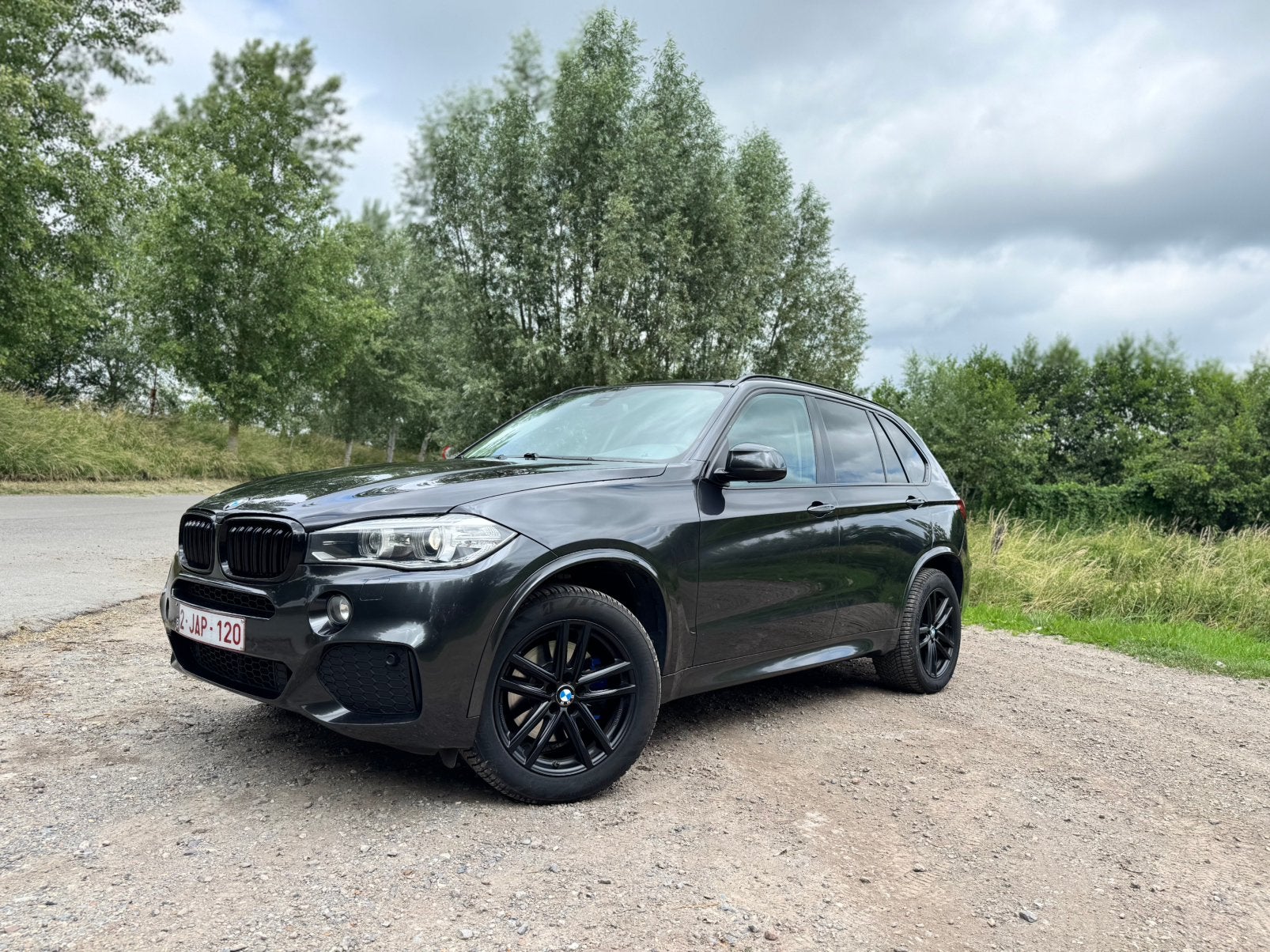 BMW X5 40d — 2014 — Cargo léger, Cuir, Achat, Entreprise, Phares entièrement LED