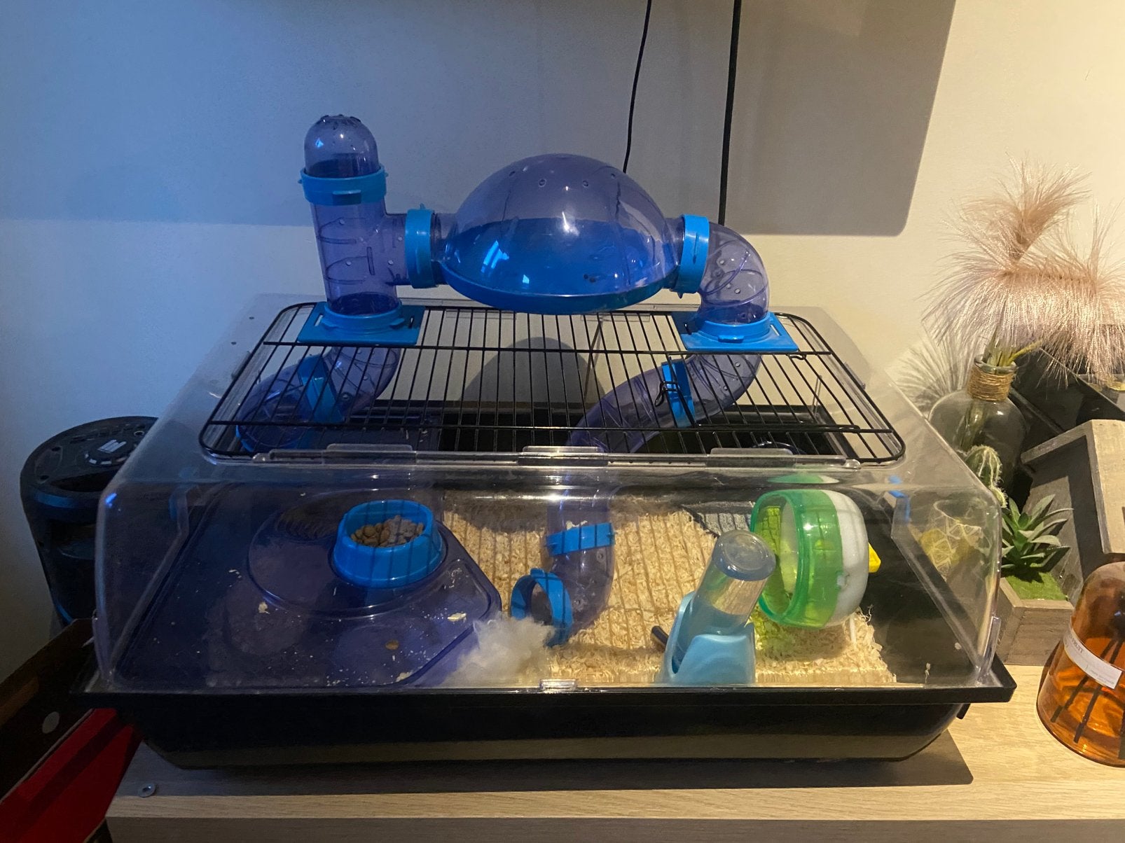 2 Vrouwelijke gerbils met kooi MOET WEG, Dieren en Toebehoren, Ophalen, Gebruikt, Kooi, Hamster