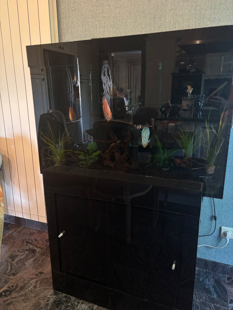 Aquarium, Animaux & Accessoires, Poissons | Aquariums & Accessoires, Enlèvement, Plantes incluses, Comme neuf, Meuble d'aquarium