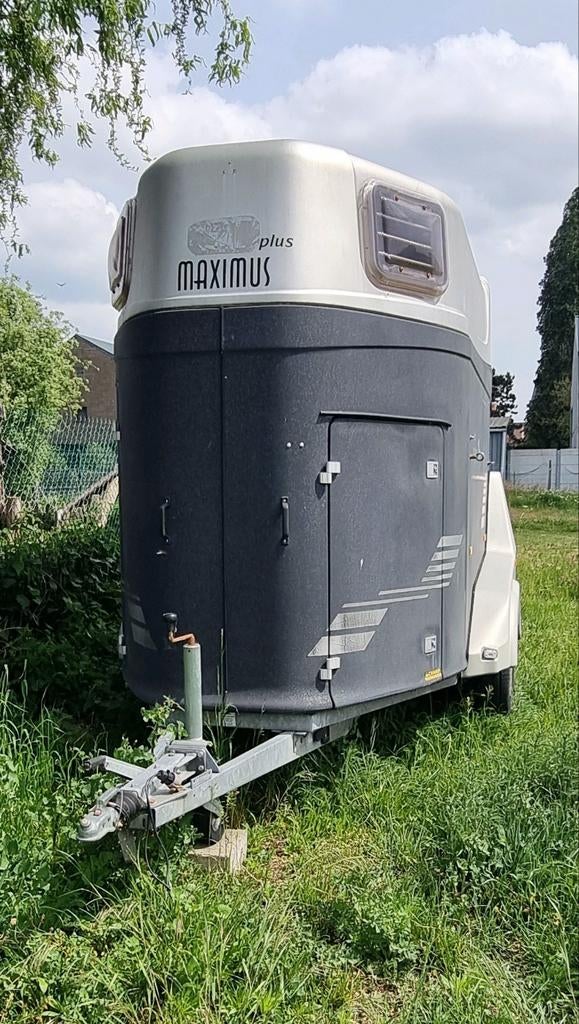 Humbaur 2 paards trailer., Dieren en Toebehoren, Ophalen