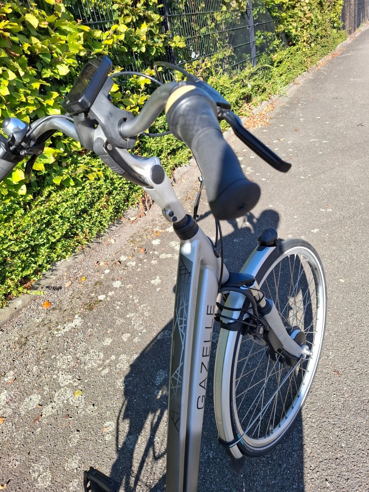 Gazelle Chamonix Comfort elektrische damesfiets – Frame 54, Ophalen of Verzenden, Gazelle