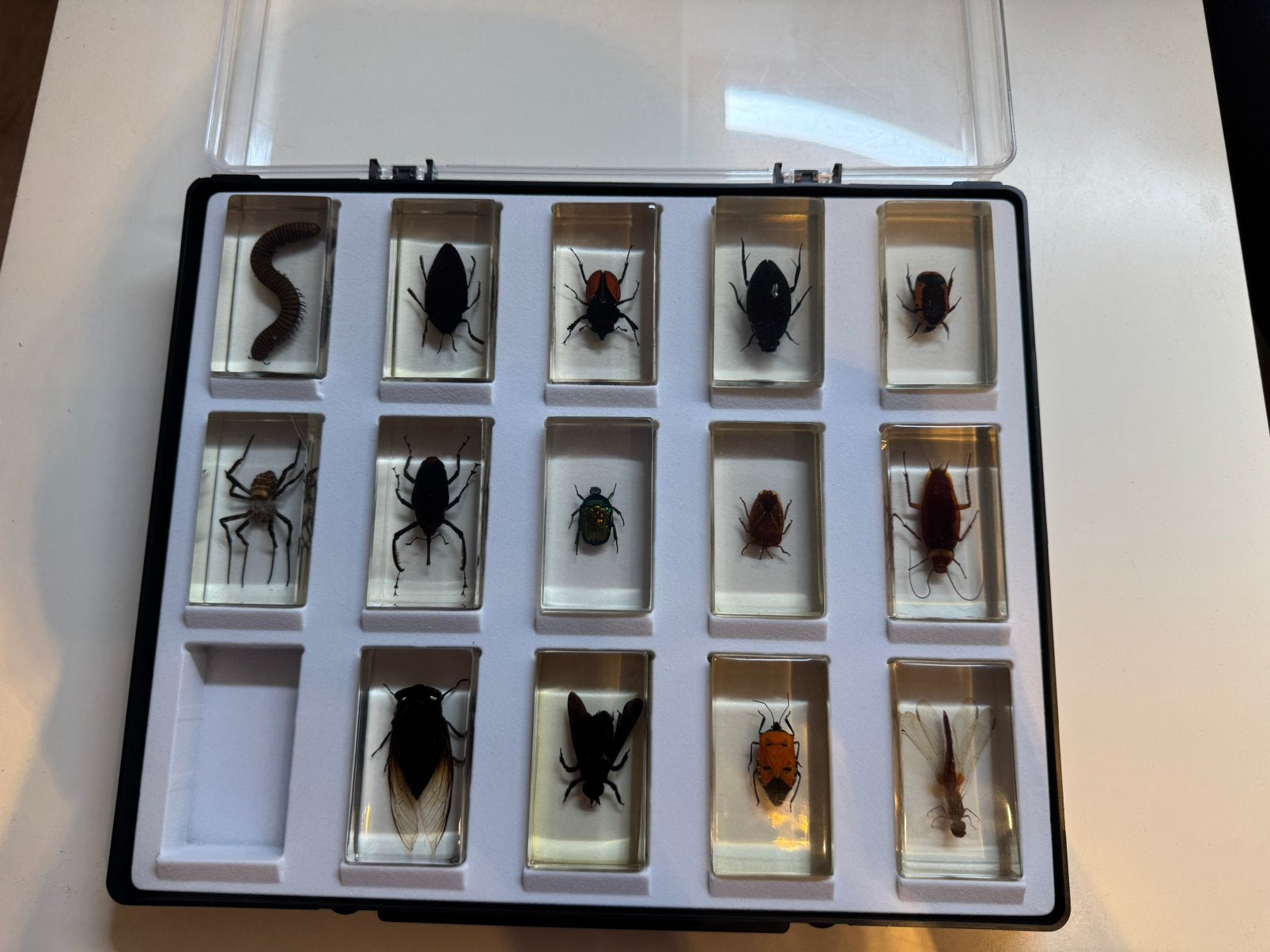 Insecten, Enlèvement, Utilisé