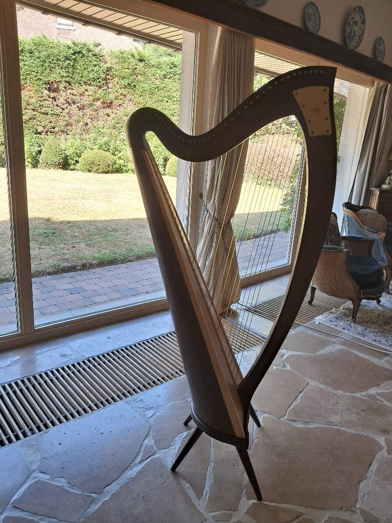 Tekoop harp met klepjes OGDEN Lyon Healy met darmsnaren +tas, Muziek en Instrumenten, Ophalen, Zo goed als nieuw