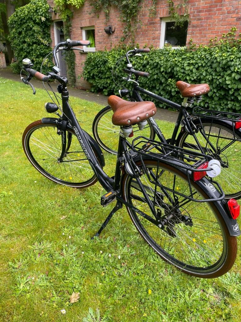 damesfiets, Velgrem, Ophalen, Overige merken, 53 tot 56 cm