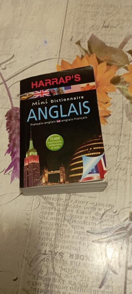 Mini dictionnaire., Enlèvement ou Envoi, Comme neuf, Anglais