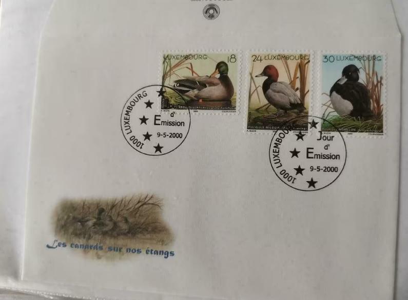 Luxembourg 2000 - FDC - oiseaux, canards, Timbres & Monnaies, Enlèvement ou Envoi, Luxembourg, Affranchi