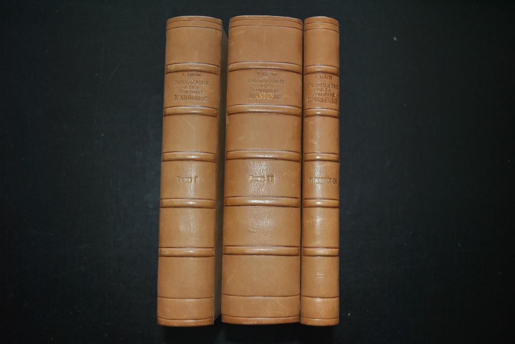 LAHAYE Cartulaire de la commune d'Andenne 1895 3 Vol 400ex, Livres, Histoire nationale, Enlèvement ou Envoi, Utilisé, Léon LAHAYE