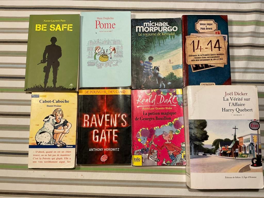 Divers livres enfants et adultes, Boeken, Overige Boeken, Zo goed als nieuw, Ophalen
