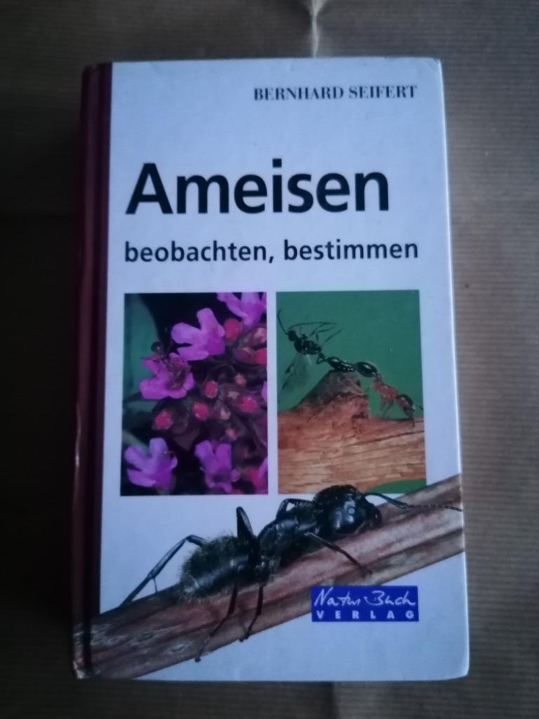 Bernard Seifert - Ameisen beobachten, bestimmen, Enlèvement ou Envoi, Utilisé