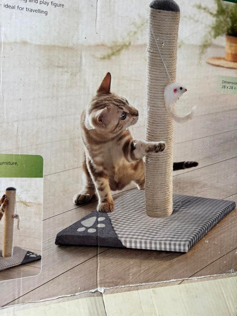 Griffoir pour chat, Enlèvement, Neuf