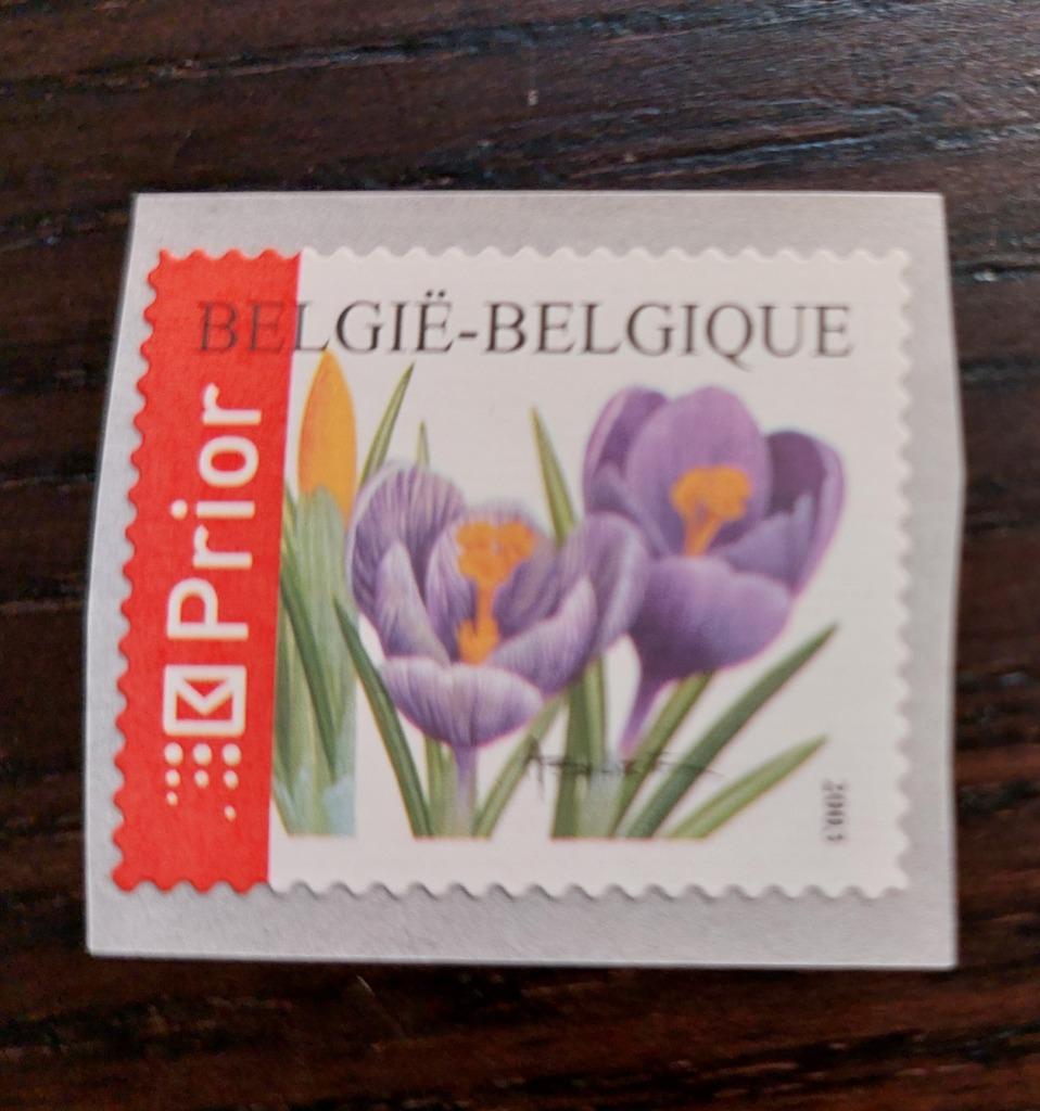 België: Krokus - R107, Sans timbre, Enlèvement ou Envoi, Non oblitéré, Timbre roltanding ou à perforation syncopée