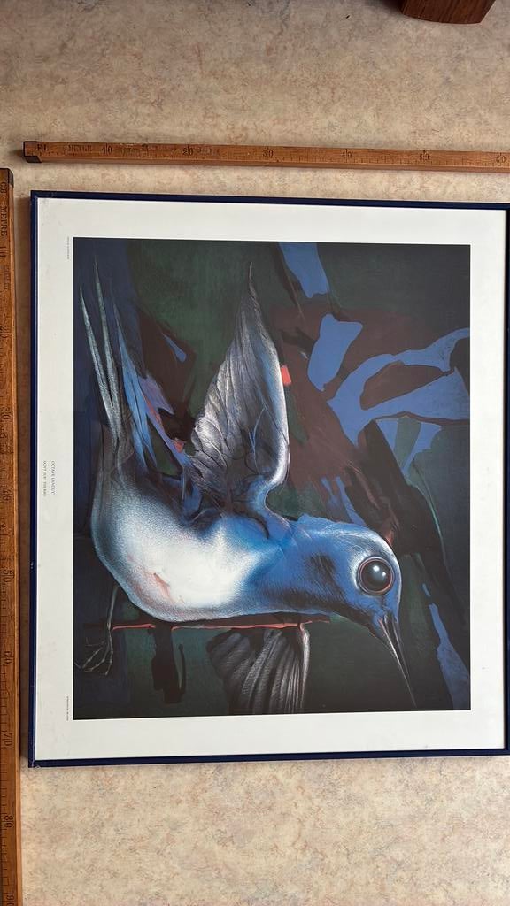 Les terres d'Octave ne font pas de mal à l'oiseau, Antiquités & Art, Enlèvement