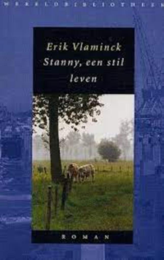 Stany, een stil leven - Erik Vlaminck, Boeken, Literatuur, Gelezen, Ophalen of Verzenden