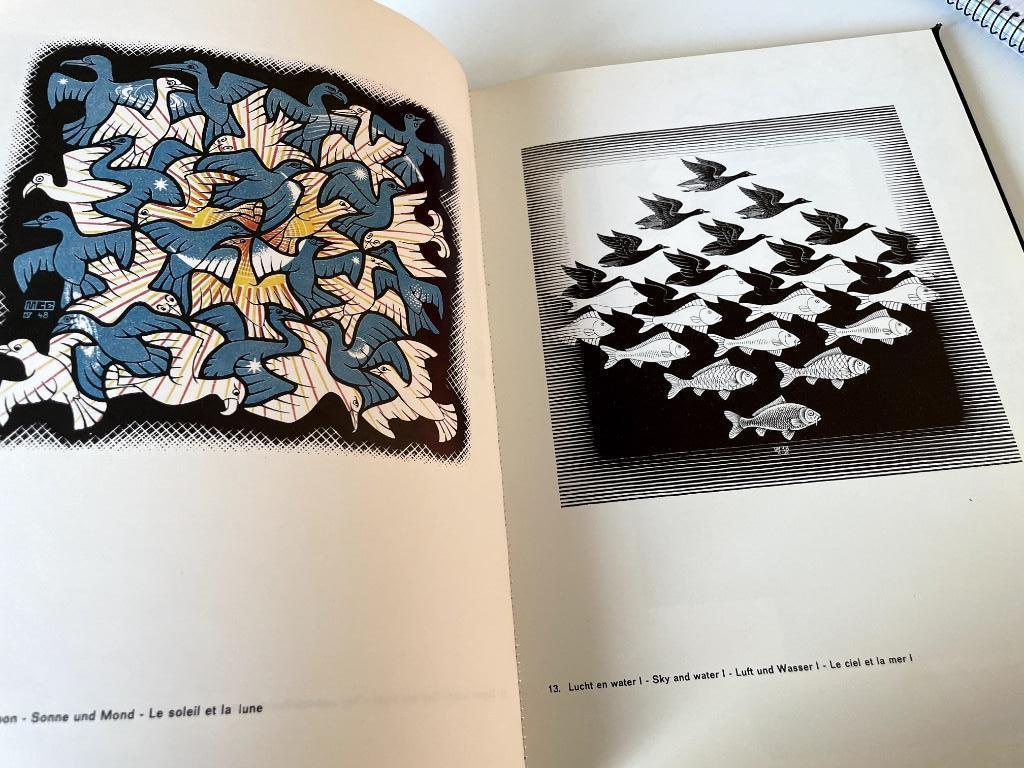 Grafiek en tekeningen/ M.C. Escher, Boeken, Kunst en Cultuur | Beeldend, Gelezen, Ophalen of Verzenden, M.C. Escher, Grafische vormgeving