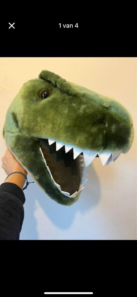 Dino kop van Wild & Soft, Ophalen