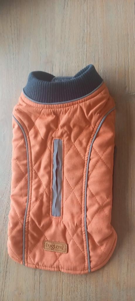 Manteau pour chien, Dieren en Toebehoren, Hondenkleding, Ophalen, Nieuw, Hondenbodywarmer