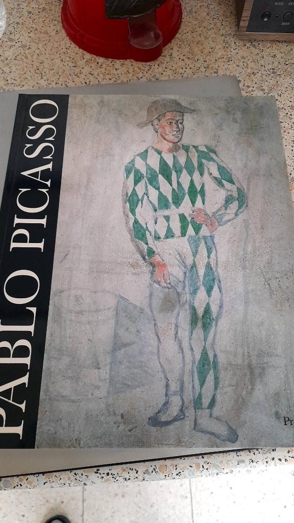 Livre Pablo Picasso, Antiquités & Art, Art | Lithographies & Sérigraphies, Enlèvement ou Envoi