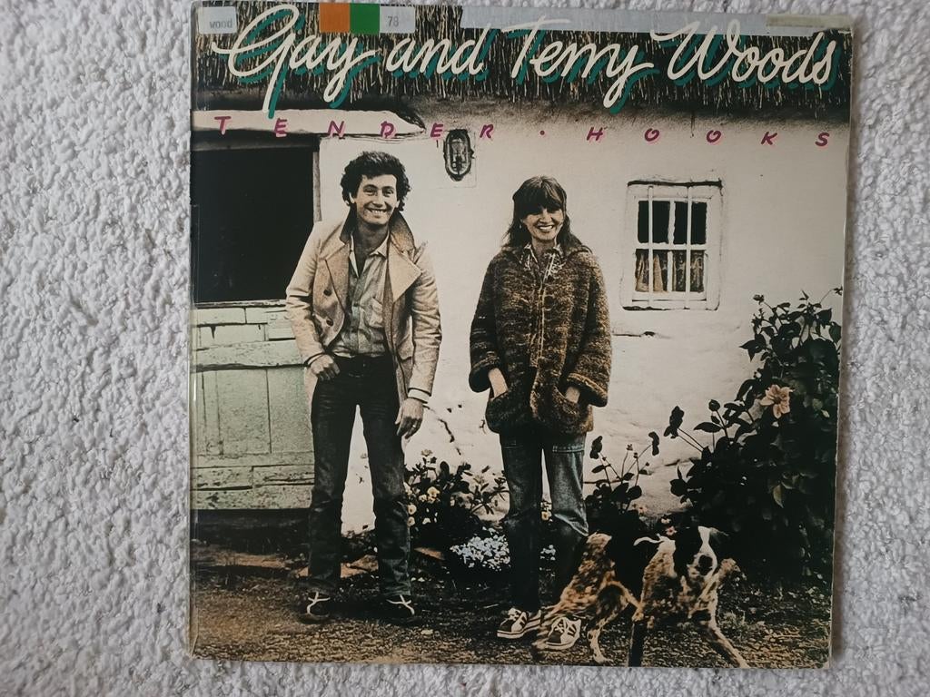 Lp Gay et Terry Woods, musique folk irlandaise, CD & DVD, Enlèvement ou Envoi