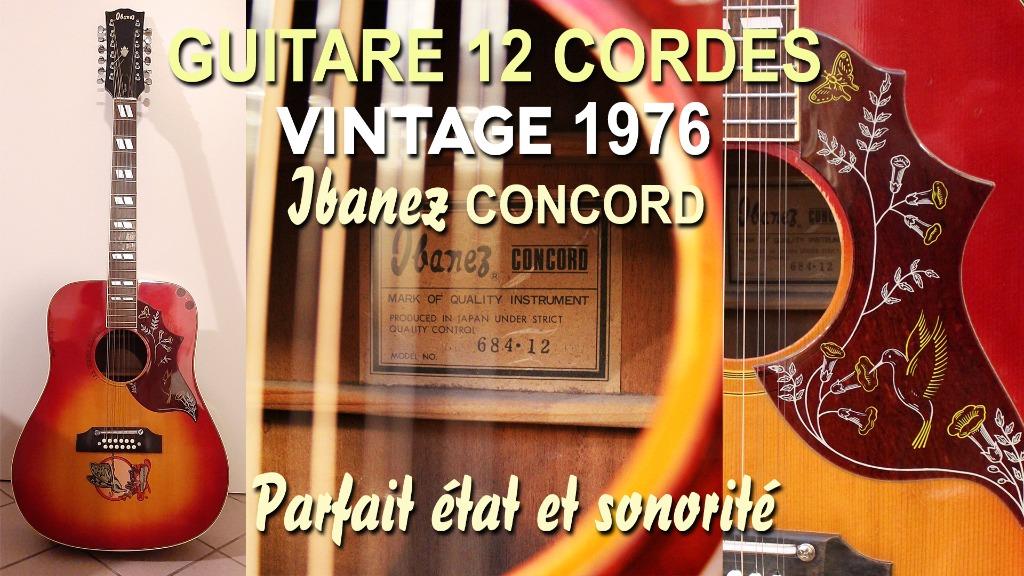 GUITARE 12 CORDES - IBANEZ, Ophalen, Gebruikt, Western- of Steelstringgitaar, Met koffer