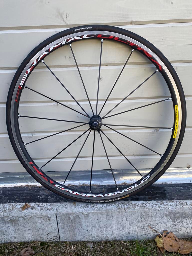 Roue AV Campagnolo Shamal Ultra boyau, Enlèvement ou Envoi, Utilisé, Roue, Campagnolo