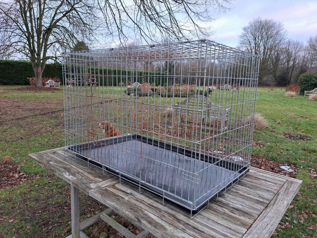 Grande cage métallique pliable chien, Enlèvement