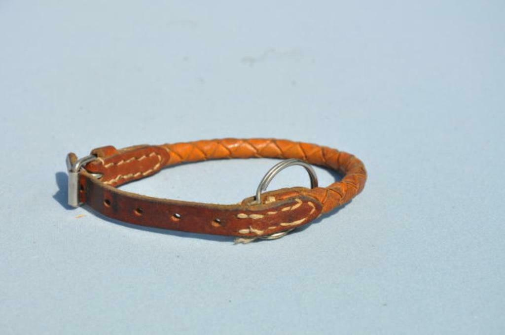 §  collier tressé pour petit chien, Enlèvement ou Envoi, Utilisé