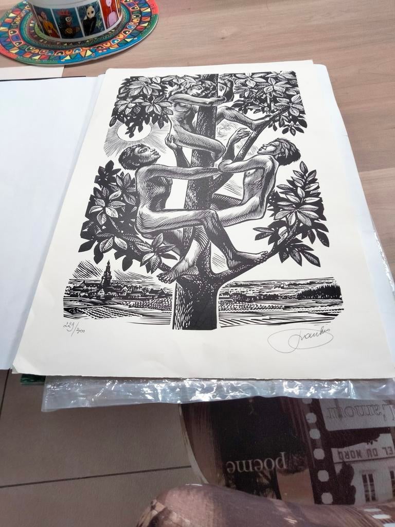 Kunstenaar Frank Ivo Van Damme afm 38 op 58 cm, Ophalen