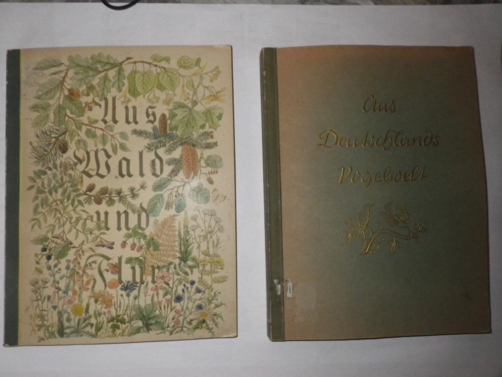 Aus Wald und flur, Aus Deutschlands Vogelwelt, Verzamelen, Foto's en Prenten, Gebruikt, Prent, Natuur, Voor 1940, Ophalen