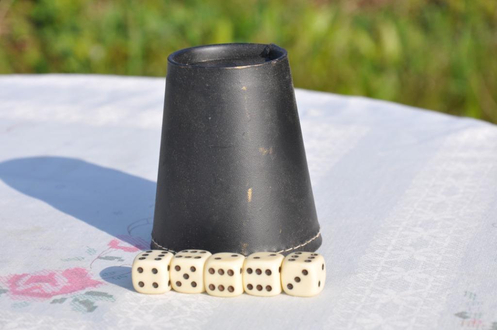 jeu de yahtzee sans plateau, Enlèvement ou Envoi, Utilisé