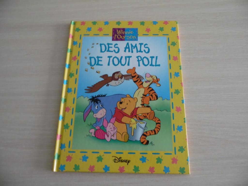 WINNIE L'OURSON     DES AMIS DE TOUT POIL, Fictie algemeen, Jongen of Meisje, Ophalen of Verzenden, Zo goed als nieuw